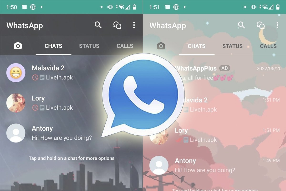 WhatsApp Contact Filters
